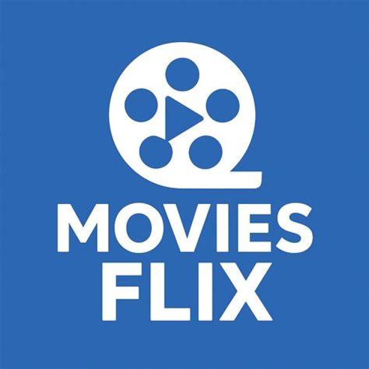 The Movies Flix とは？特徴・使い方・注意点を徹底解説